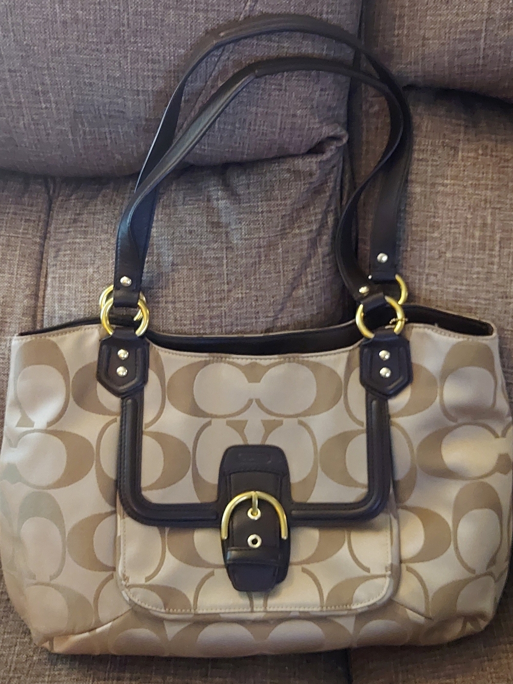 Coach Signature Beige & Brown Tote Bag with Gold Hardware F25294